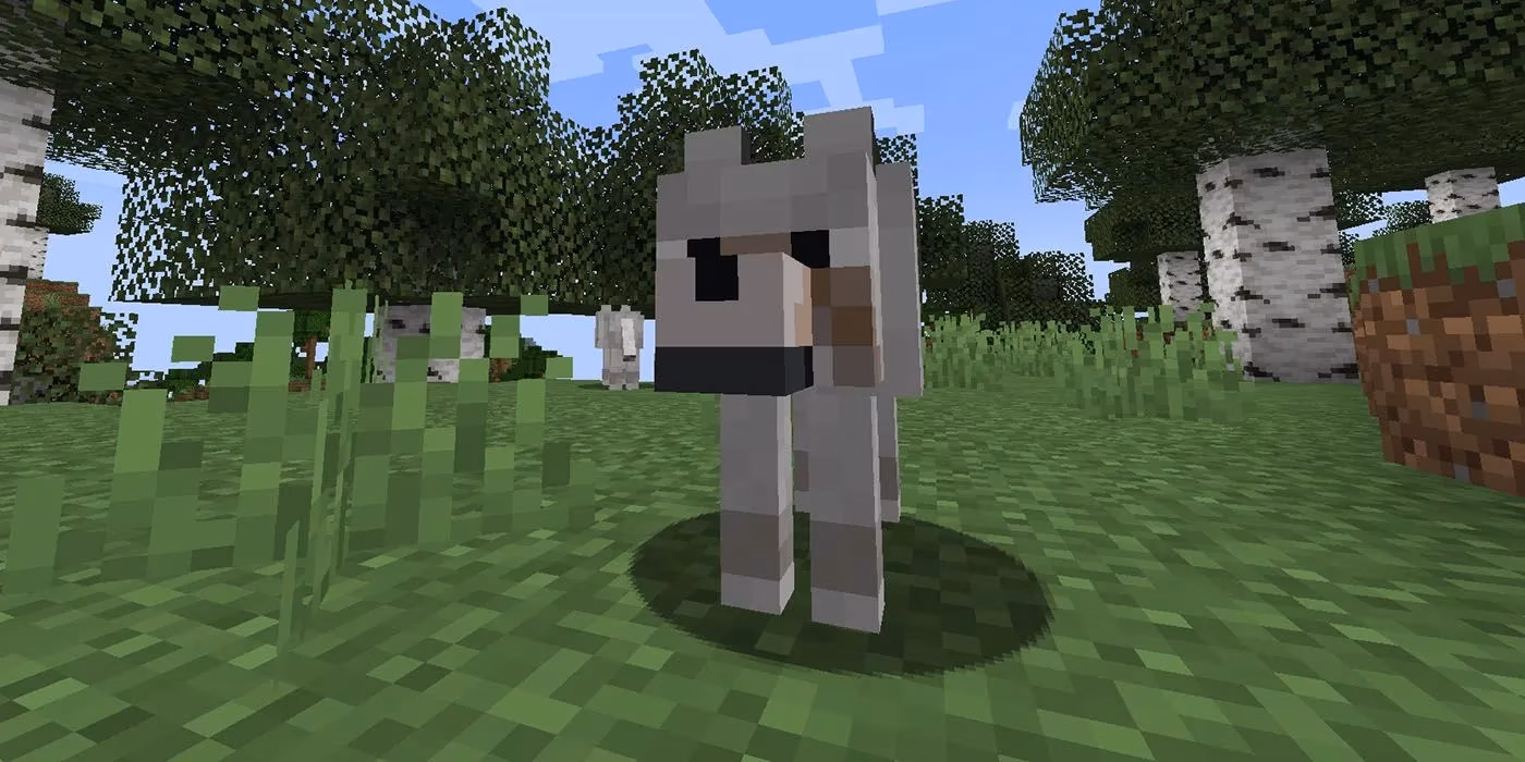 whispers-of-the-wild-my-journey-through-minecraft-s-new-wolf-skins-image-1